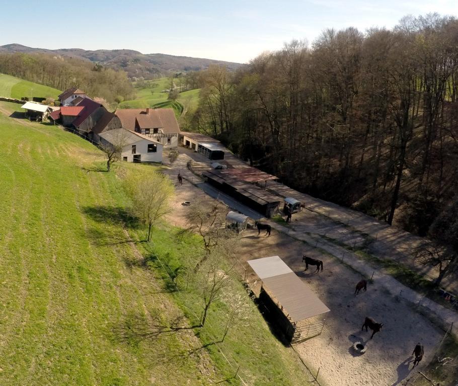 Villa Pferdehof Und Wanderreitstation Doersam à Mörlenbach Extérieur photo